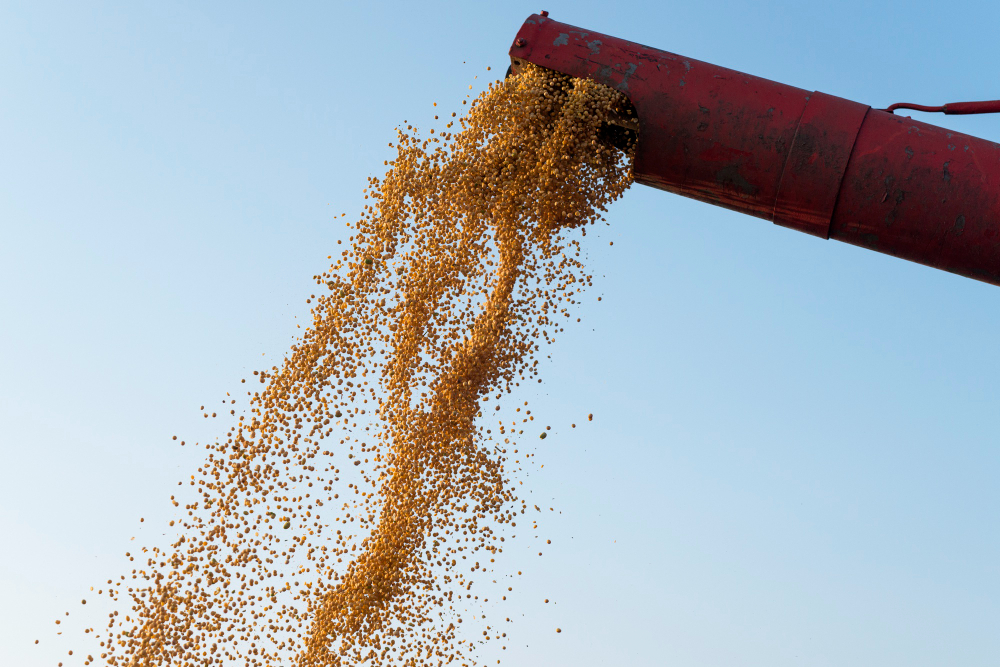 Esmagamento de soja cresce e mostra a força da agroindústria brasileira