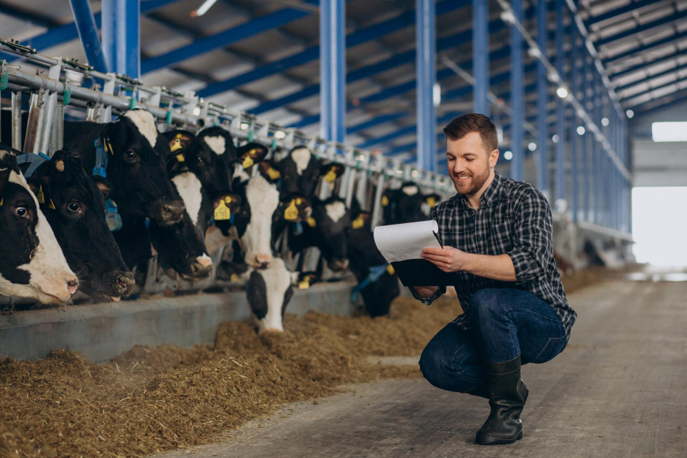 Dia do Pecuarista: na virada do ciclo, crédito passa a valer tanto quanto a arroba para o produtor rural