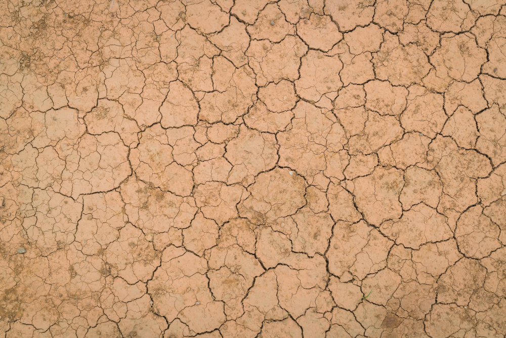 Super El Niño pressiona planejamento da safra 26/27: risco de seca severa no Centro-Oeste brasileiro